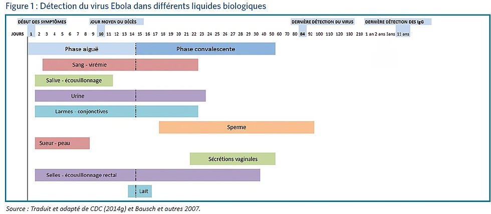 Figure 1 : Détection du virus Ebola dans différents liquides biologiques